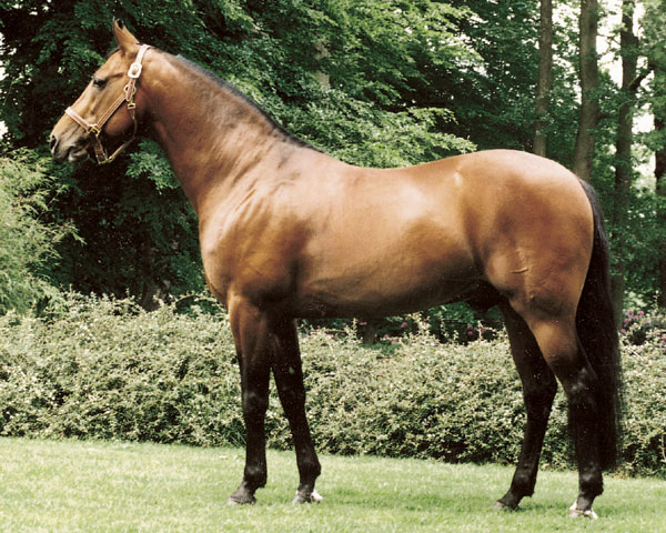 diamondway600.jpg