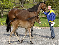 sto e. General November -Krossed Out född 2004-04-22