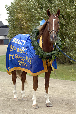 Commander Crowe vann Svenskt Trav Derby 2007