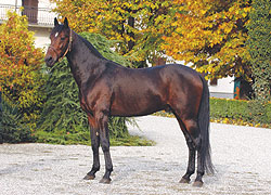 Varenne